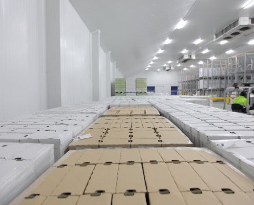 The Importance Of Cold Chain Logistics Solutions For Pharma Products