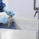 The Process Of Loading Medical Ampoules For Vaccines Onto A Conveyor